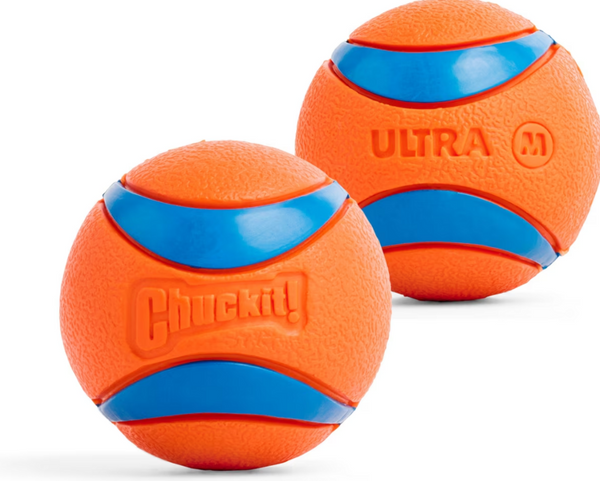 Chuckit! Ultra Squeaker Dog Toy
