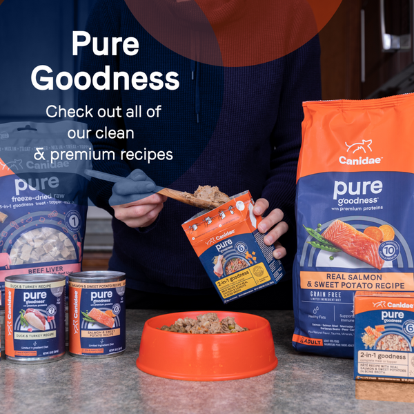 Canidae Pure Biscuit Lamb Liver & Butternut Squash Recipe Treats