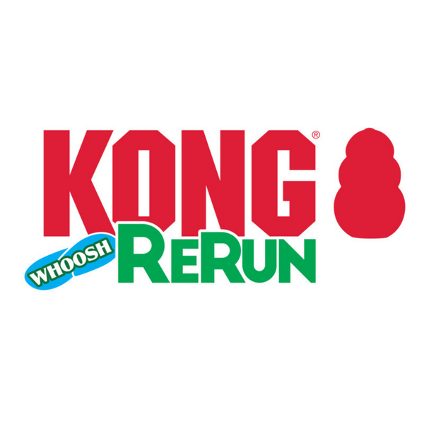 KONG Rerun Whoosh Bone Assorted Dog Toy
