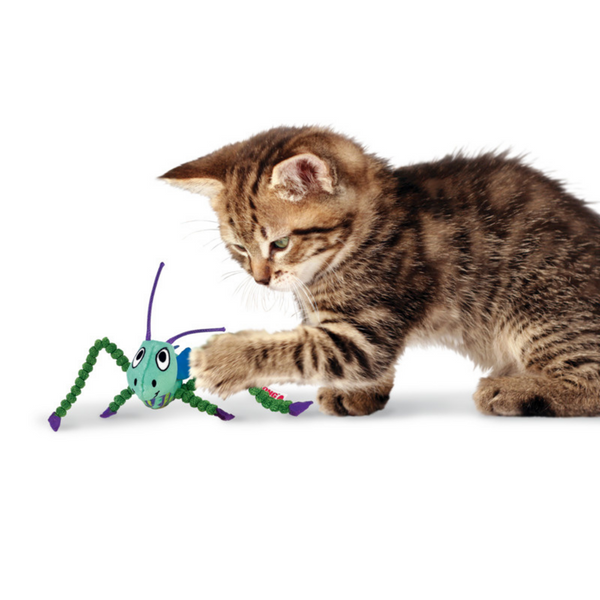 KONG Crackles Grasshopper Cat Toy