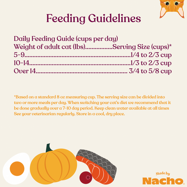 Made By Nacho Bone Broth Infused Sustainably Caught Salmon & Pumpkin Recipe