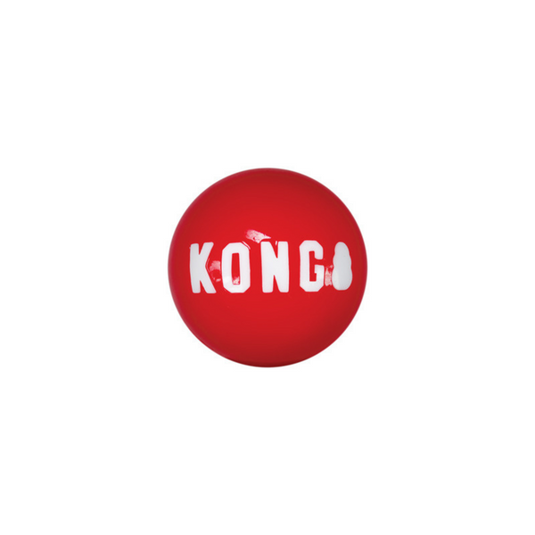 Kong Signature Balls 4 pack Assorted