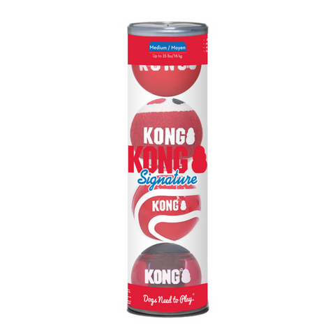 Kong Signature Balls 4 pack Assorted
