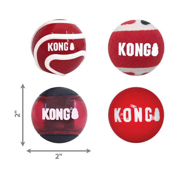 Kong Signature Balls 4 pack Assorted