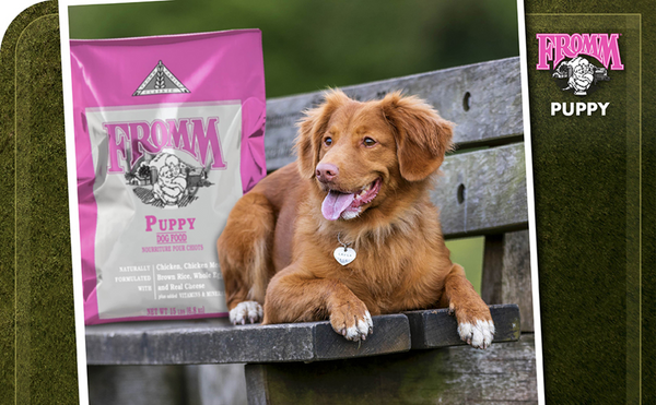 Fromm Classic Puppy Chicken & Salmon Pate Canned Dog Food