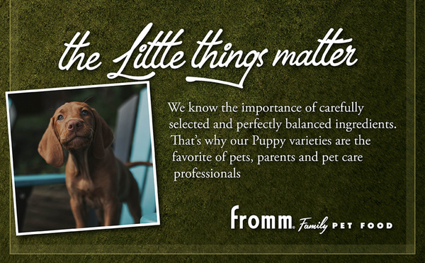 Fromm Classic Puppy Chicken & Salmon Pate Canned Dog Food