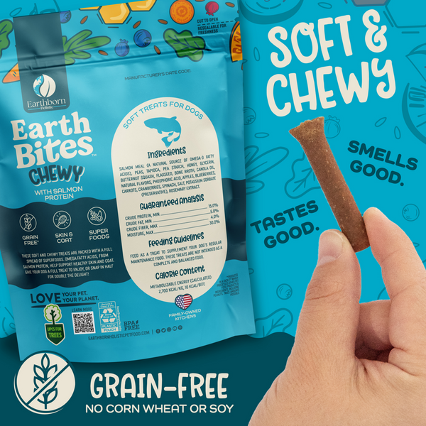 Earthborn Holistic Earthbites Chewy Salmon Dog Treats