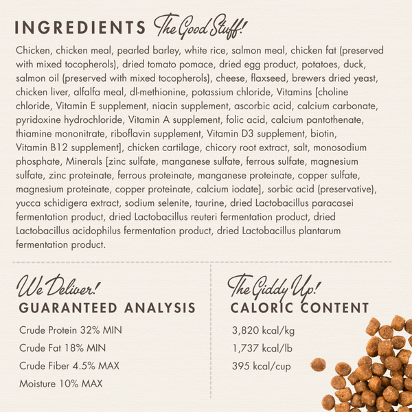 Fromm Gold Adult Chicken Duck & Salmon Pate Canned Cat Food