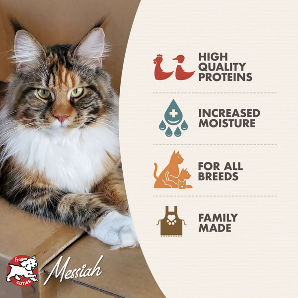 Fromm Gold Healthy Weight Chicken & Duck Pate Canned Cat Food