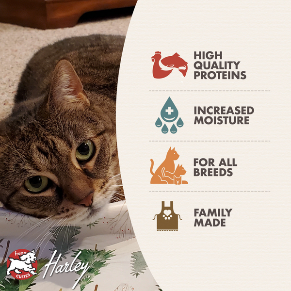 Fromm Gold Indoor Hairball Control Chicken & Salmon Pate Canned Cat Food