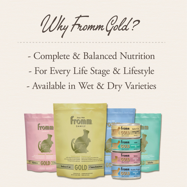 Fromm Gold Chicken & Duck Pate Kitten Canned Cat Food