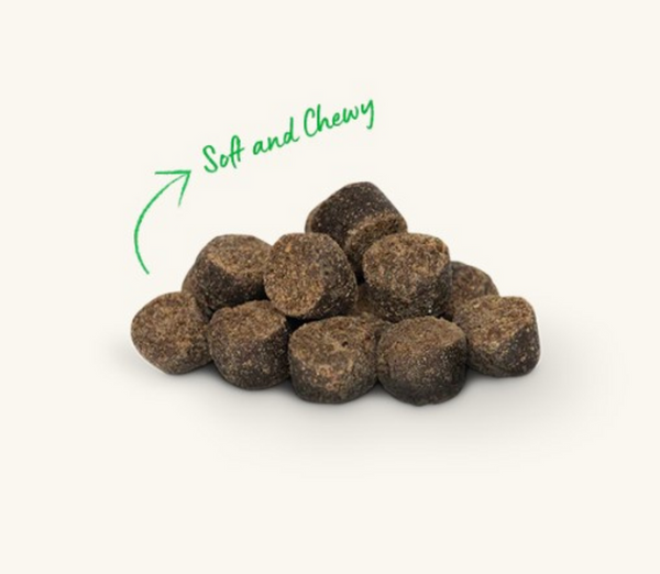 Open Farm Be Good Bites Chicken Soft & Chewy Dog Treats