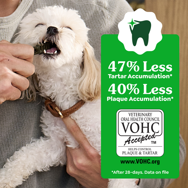 Greenies Dental Bone Sweet Potato  Petite
