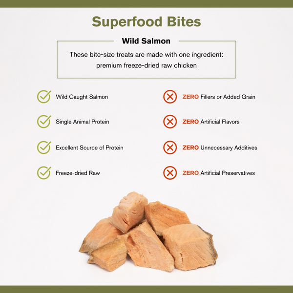 Badlands Ranch Superfood Bites Salmon Treats