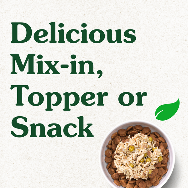 Greenies Chicken Apple Brown Rice and Peas in Bone Broth Wet Dog Food Topper