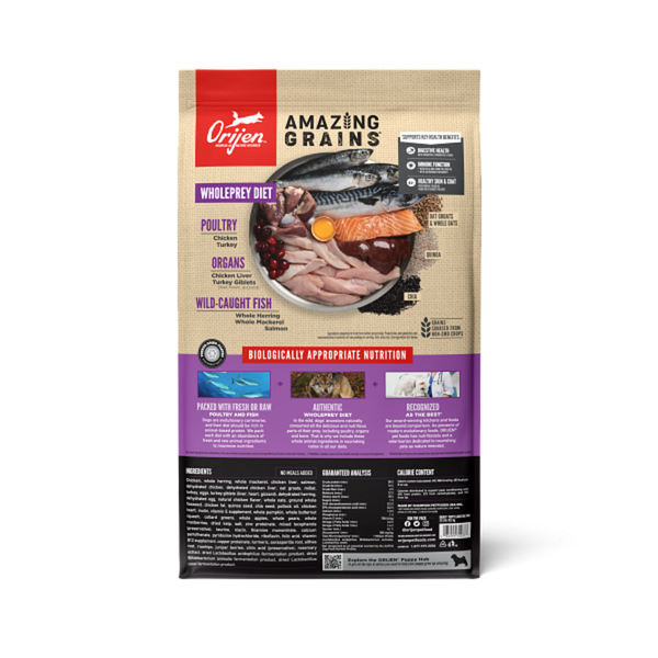 Orijen High Protein Amazing Grains Large Breed Puppy Dry Dog Food