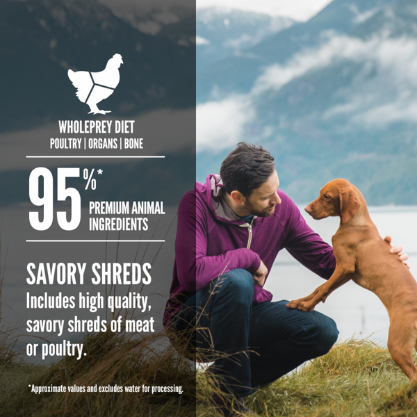 Orijen Real Meat Shreds, Grain-free, Chicken Recipe Stew, Premium Wet Dog Food