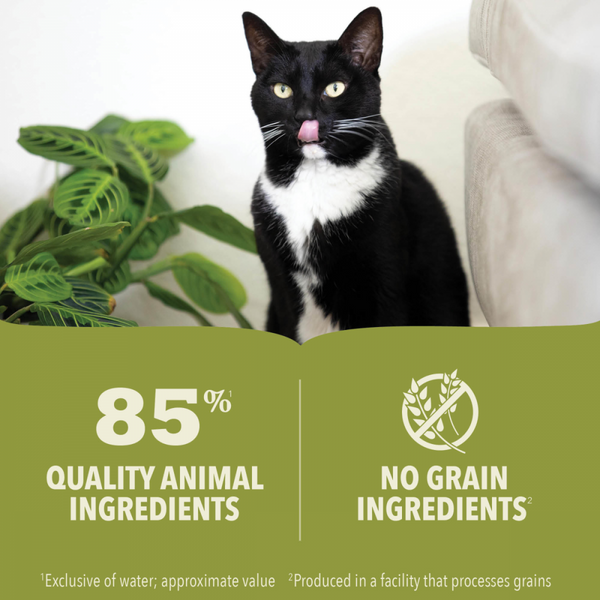 Acana Premium Chunks Canned Dog Food Beef
