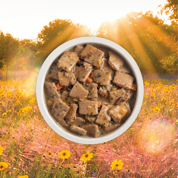 Acana Premium Chunks Canned Dog Food Duck