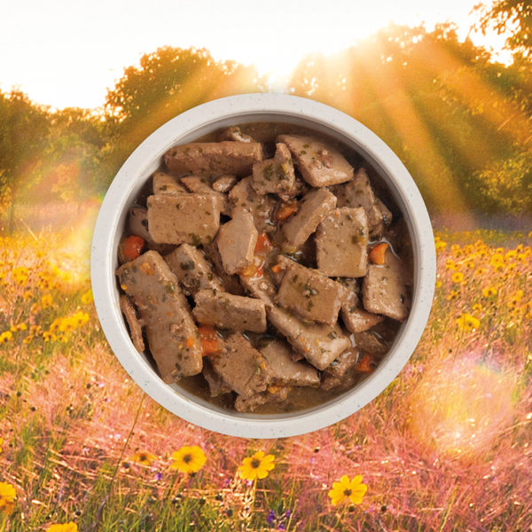 Acana Premium Chunks Canned Dog Food Lamb