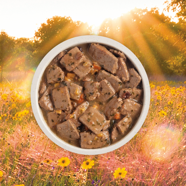 Acana Premium Chunks Canned Dog Food Pork