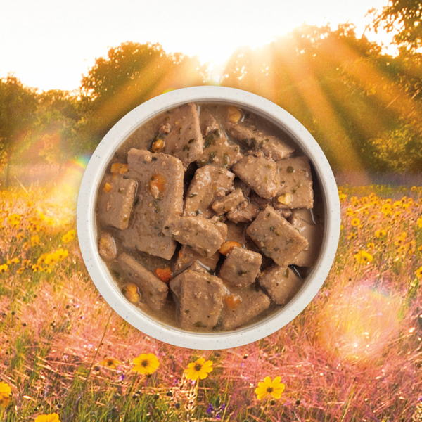 Acana Premium Chunks Canned Dog Food Poultry