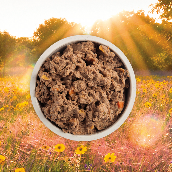 Acana Premium Pate Grain Free Puppy Recipe in Bone Broth Wet Dog Food