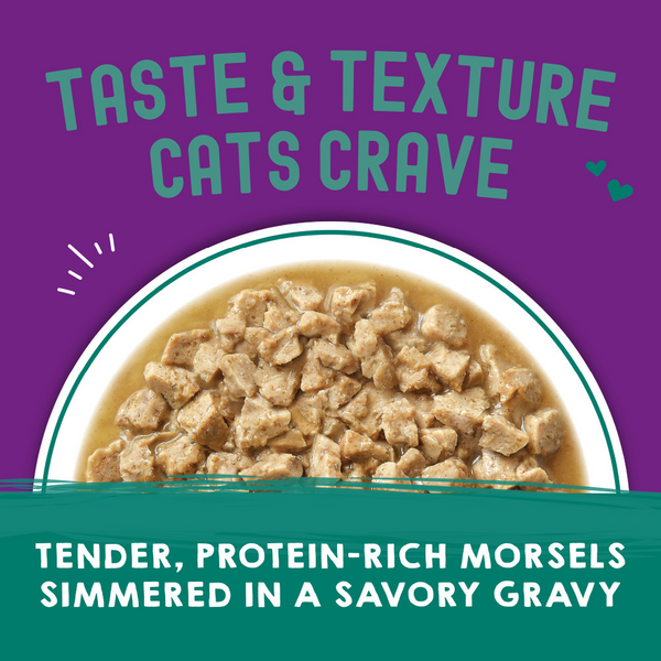 Stella & Chewy's Carnivore Cravings Morsels N Gravy Salmon & Mackerel Recipe Pouch Cat Food