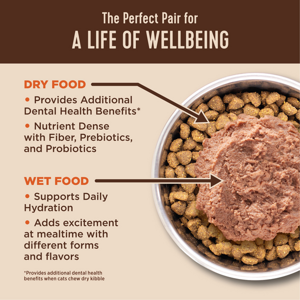Wellness CORE  Healthy Weight Grain Free Adult Dry Cat Food Chicken & Chicken Meal Recipe