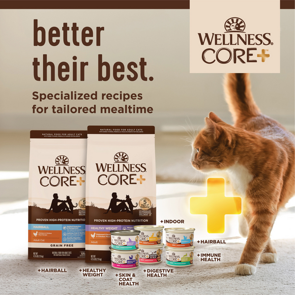 Wellness CORE  Healthy Weight Grain Free Adult Dry Cat Food Chicken & Chicken Meal Recipe
