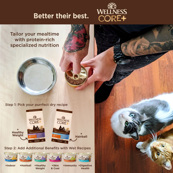 Wellness CORE  Healthy Weight Grain Free Adult Dry Cat Food Chicken & Chicken Meal Recipe