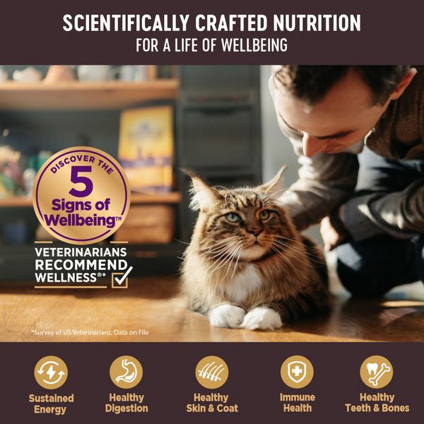 Wellness CORE  Healthy Weight Grain Free Adult Dry Cat Food Chicken & Chicken Meal Recipe