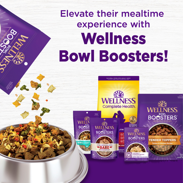 Wellness Complete Health Adult Beef & Barley Recipe