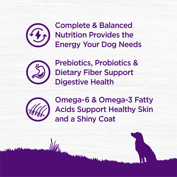 Wellness Complete Health Adult Beef & Barley Recipe
