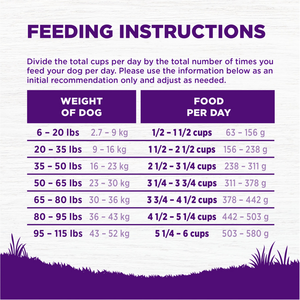 Wellness Complete Health Adult Beef & Barley Recipe