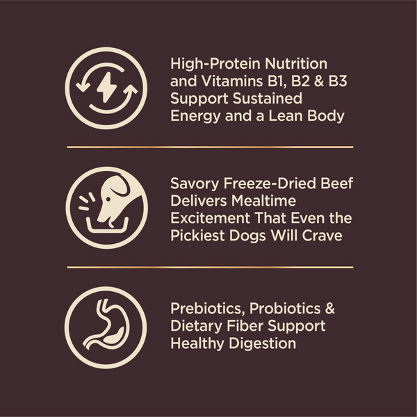 Wellness CORE  Grained Beef & Barley Recipe