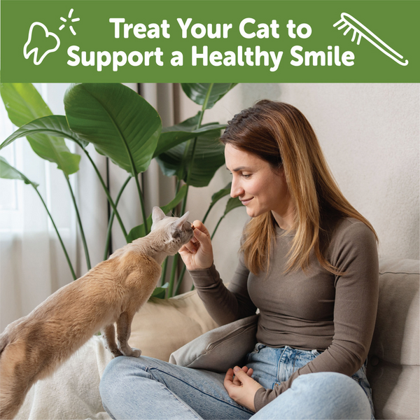 Whimzees Cat Dental Treats Chicken Flavor