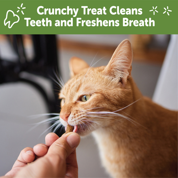 Whimzees Cat Dental Treats Chicken & Tuna Flavor