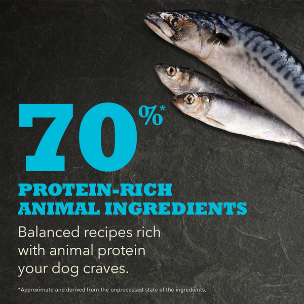 Acana Highest Protein Wild Atlantic Recipe Dry Dog Food