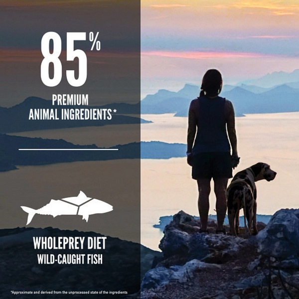 Orijen Six Fish Dry Dog Food