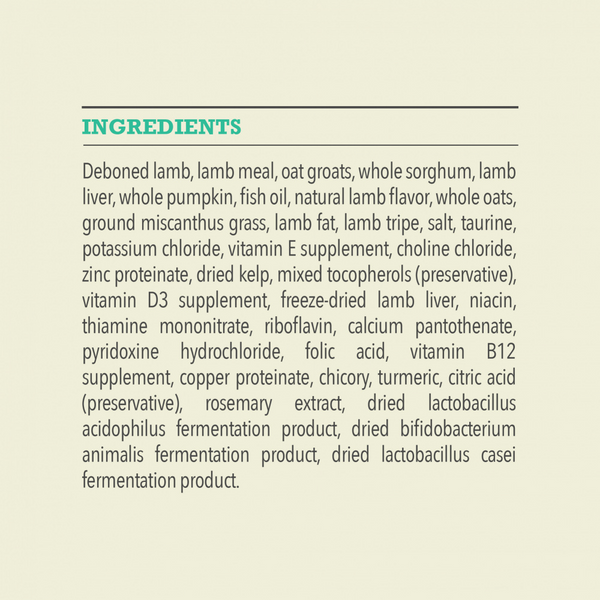 Acana Wholesome Grains, Lamb & Pumpkin Recipe, Limited Ingredient Diet Dry Dog Food