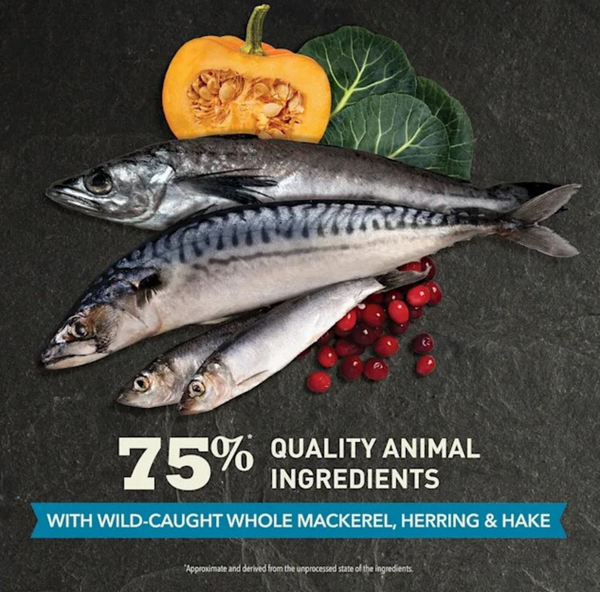 Acana Highest Protein Wild Atlantic Dry Cat Food