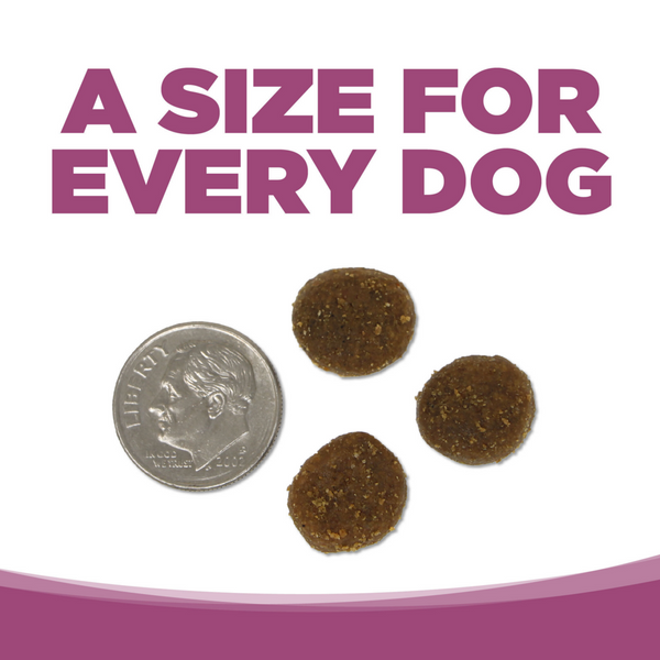 NutriSource Element Wild Range Dog Food