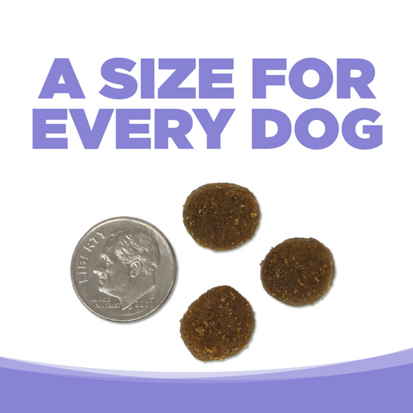 NutriSource Element Upland Stream Dog Food