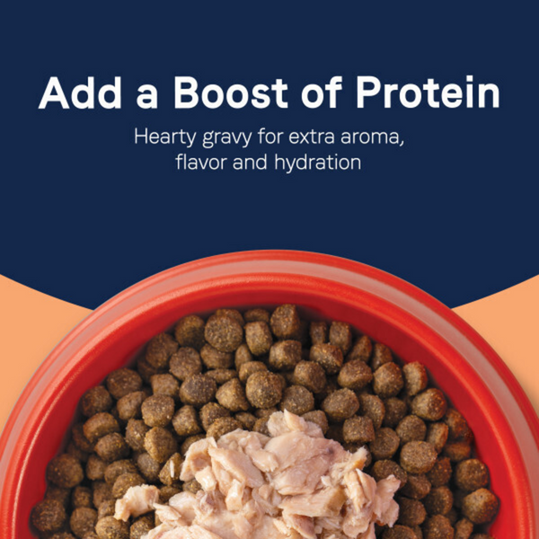 Canidae Pure Protein Topper, Wild Caught Salmon Recipe in Gravy Dog Food