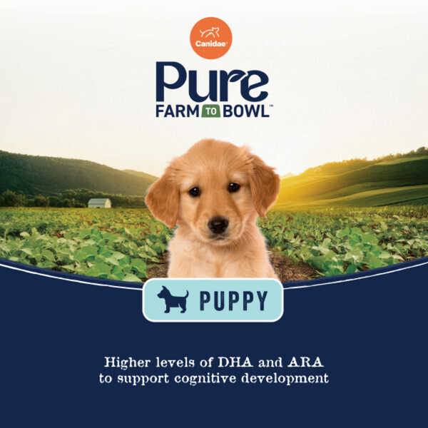 Canidae Pure Farm To Bowl Puppy Wild-Caught Salmon & Sweet Potato Recipe Dog Food