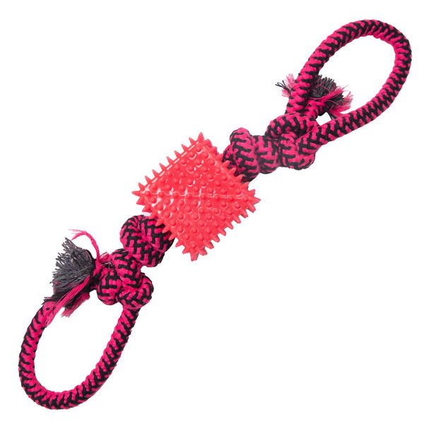 Snugarooz Tug-N-Cube Tug Dog Toy