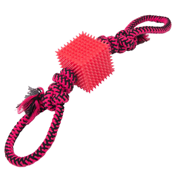 Snugarooz Tug-N-Cube Tug Dog Toy