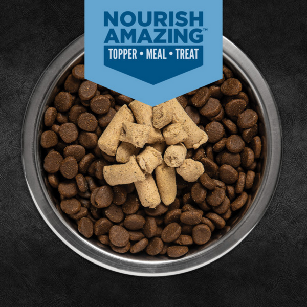 ORIJEN Original Epic Bites Freeze-Dried Dry Dog Food