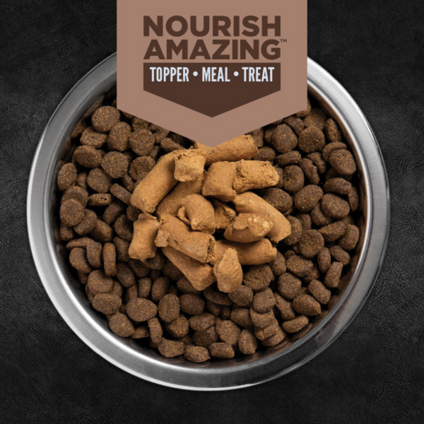 ORIJEN Regional Red Epic Bites Freeze-Dried Dry Dog Food